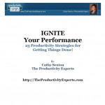 The Productivity Experts Ebook